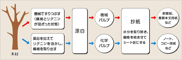 機械パルプと化学パルプの違い